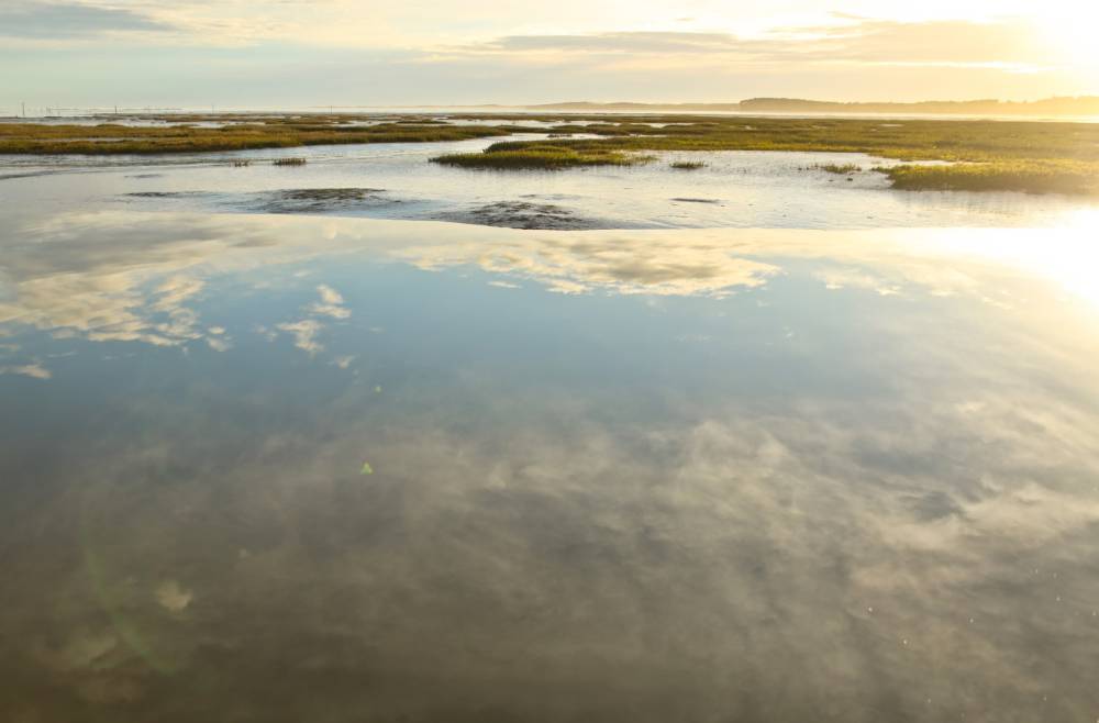 bassin (14)